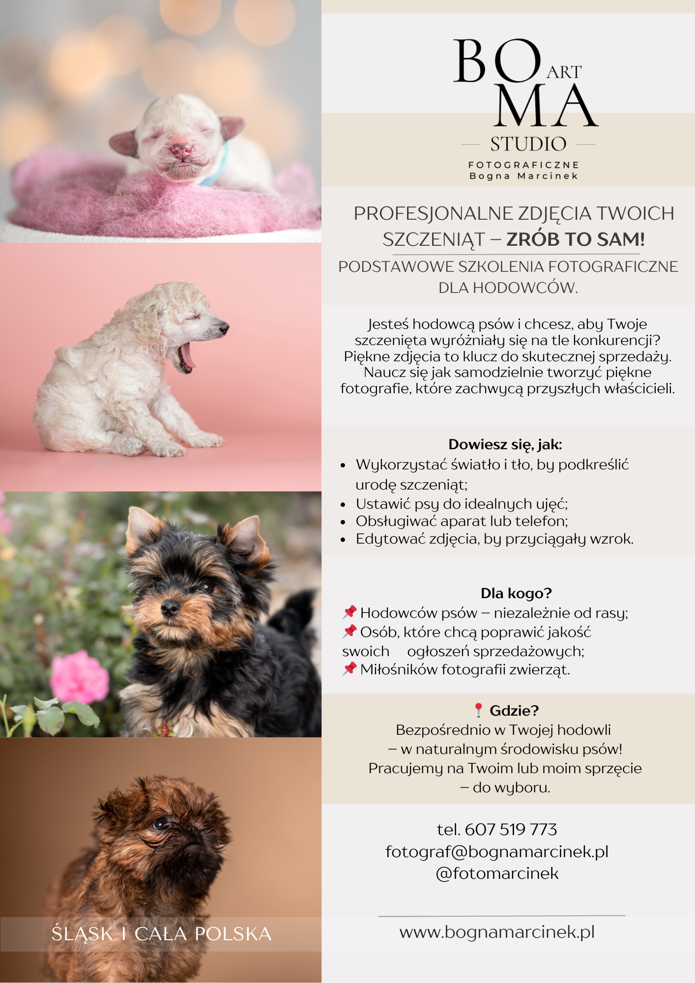 Szkolenia fotograficzne dla hodowców psów kotów